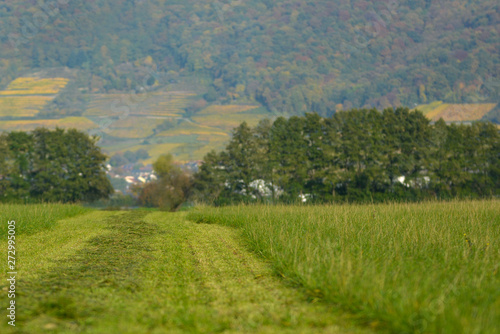 Footpath leading through agricultural fields with German Odenwald mountain range in background