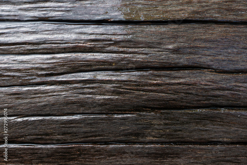 A wet wood after the rain with aged skin txture