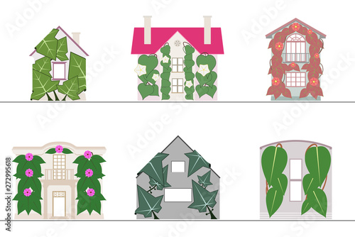 Green wall and green facade systems with no gradients
