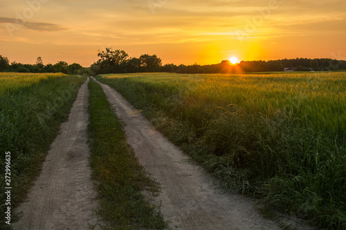 The setting sun behind the horizon, green fields and country road