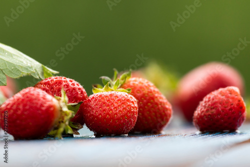 fresh strawberries grown without pesticides