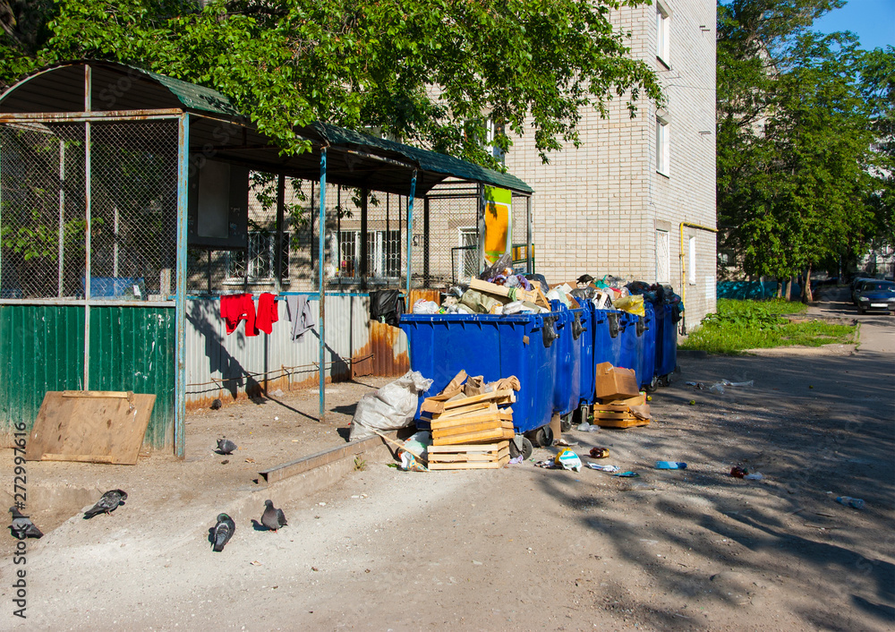 trash containers street birds pigeons thieves trash containers street birds pigeons thieves