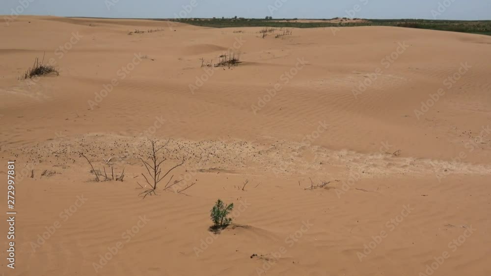 Kalmykia. Steppe. Reserve Kalmykia. Steppe. Reserve