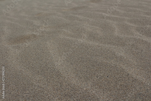 砂の模様