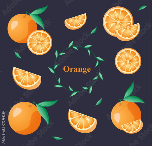 Set of whole, cut in half, sliced on pieces fresh orange, leaves, orange peel hand drawn vector illustration isolated on dark background. Bright juicy citrus fruit collection.