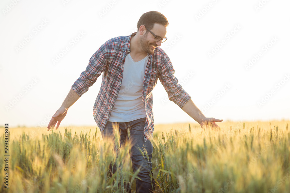 Proud happy young farmer walking through wheat field, gently touching plants with his hands. Back-lit sunset photo. Organic farming and healthy food production