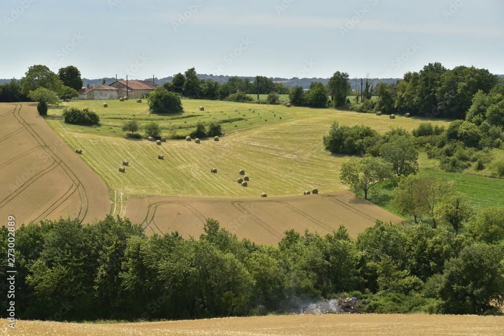 Meules fe foins faisant minuscules sur un champs sur une pente de colline dégagée au Périgord Vert