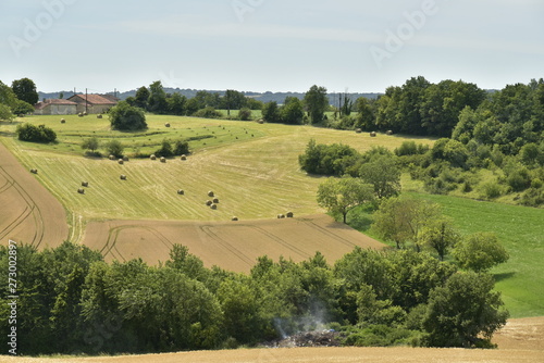 Meules fe foins faisant minuscules sur un champs sur une pente de colline dégagée au Périgord Vert