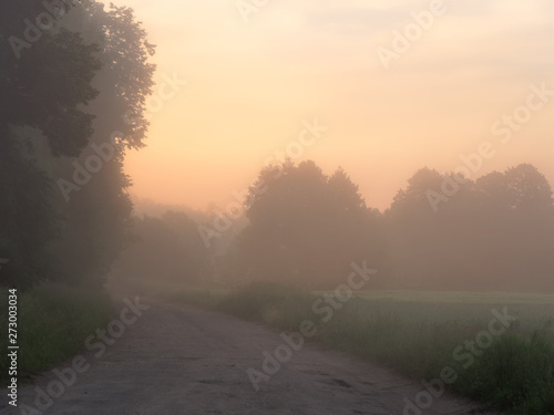fog over country road at sunrise in summer