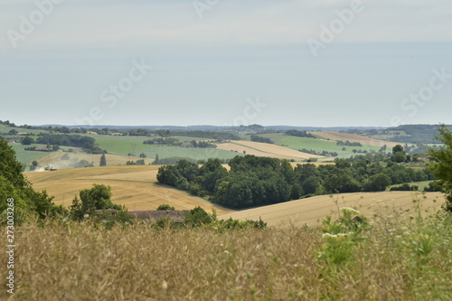 Vue panoramique depuis un champs d orge du paysage typique du P  rigord Vert