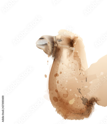 Camel Vector watercolor isolated on white. Icon Painted style illustrations