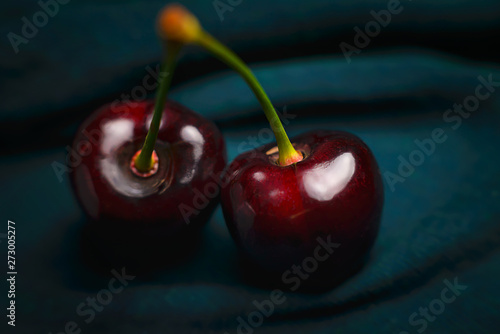 Glossy cherry on a dark background. Ripe and juicy cherry fruit