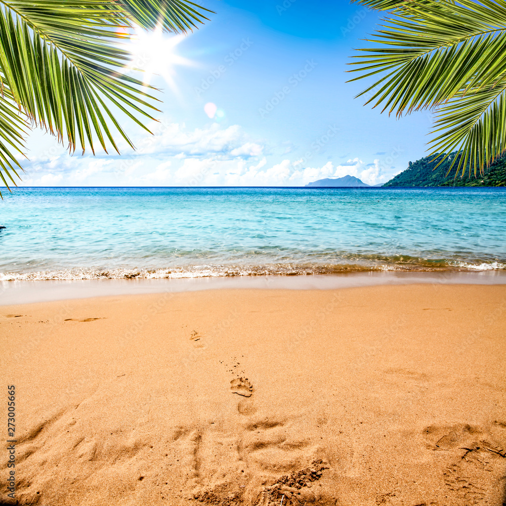 summer beach background and sea landscape 