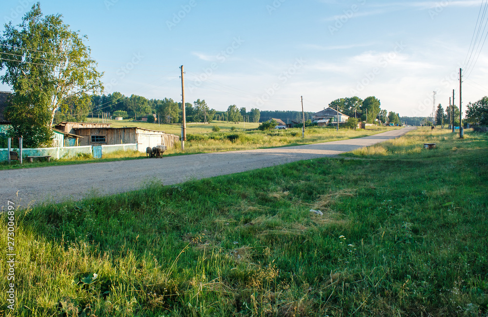 dirt road in a russian village