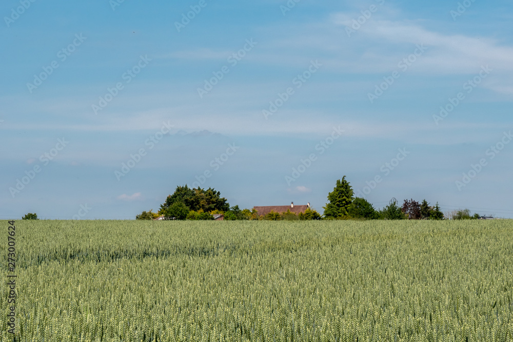 The fields of Auvers-sur-Oise, France The fields of Auvers-sur-Oise, France