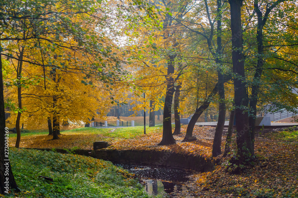 view of a beautiful park in autumn