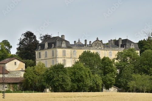 Le château 🏰de Vendoire émergeant d'un bosquet d'arbres au Périgord Vert photo