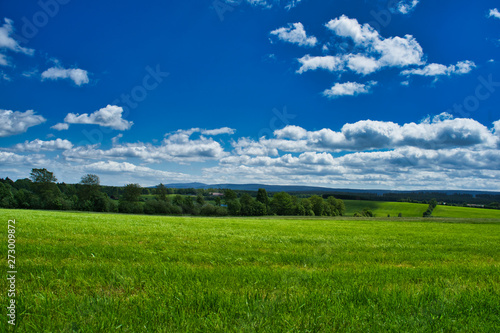 green field and blue sky © Oliver