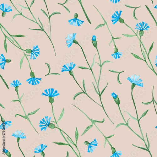 Cornflower plant with flowers  blossom watercolor painting - seamless pattern on beige background