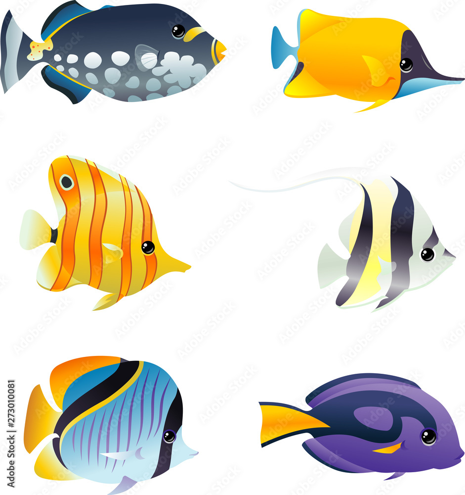 Saltwater Fish Bundle Saltwater Fish Bundle