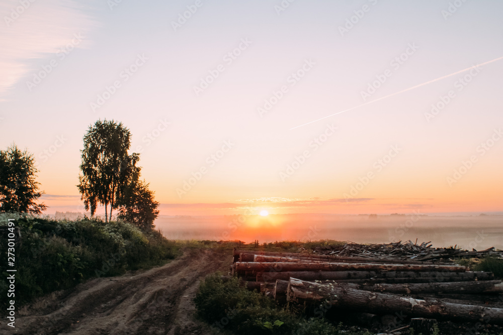 dawn in the field dawn in the field