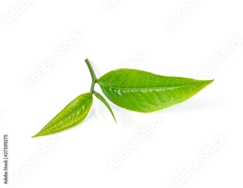 tea leaf isolated on white background