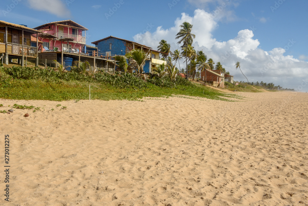 The coast of Sauipe on Bahia in Brazil