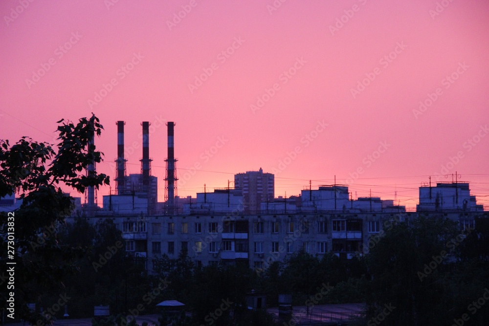 Pink sunset. roofs of multi-storey buildings, trees and pipes of the plant, the city Skyline at sunset, selective focus