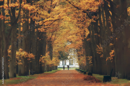 yellow autumn forest landscape   beautiful trees with yellow leaves in the forest  landscape October autumn  seasonal landscape