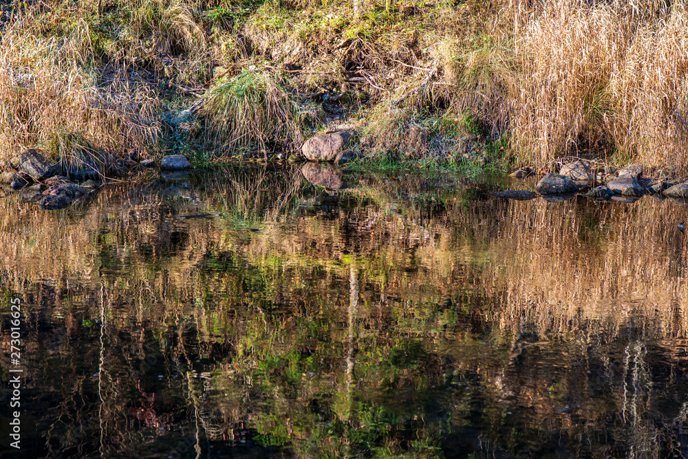 forest river with rocky gulf and waterfalls forest river with rocky gulf and waterfalls