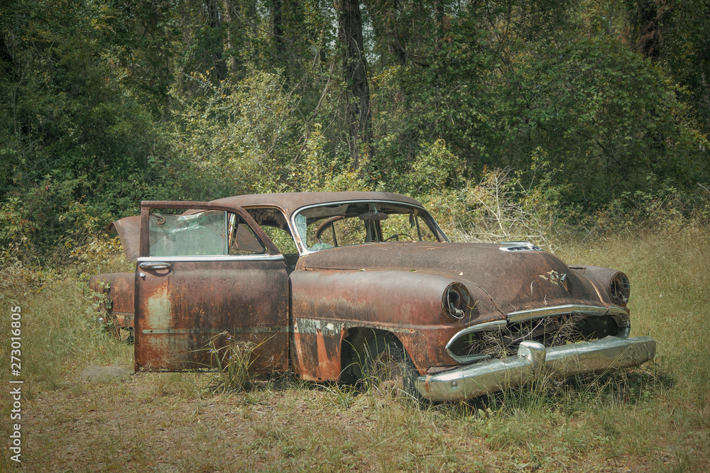 Roadside rusted old Ford trucks and cars in Florida Roadside rusted old Ford trucks and cars in Florida