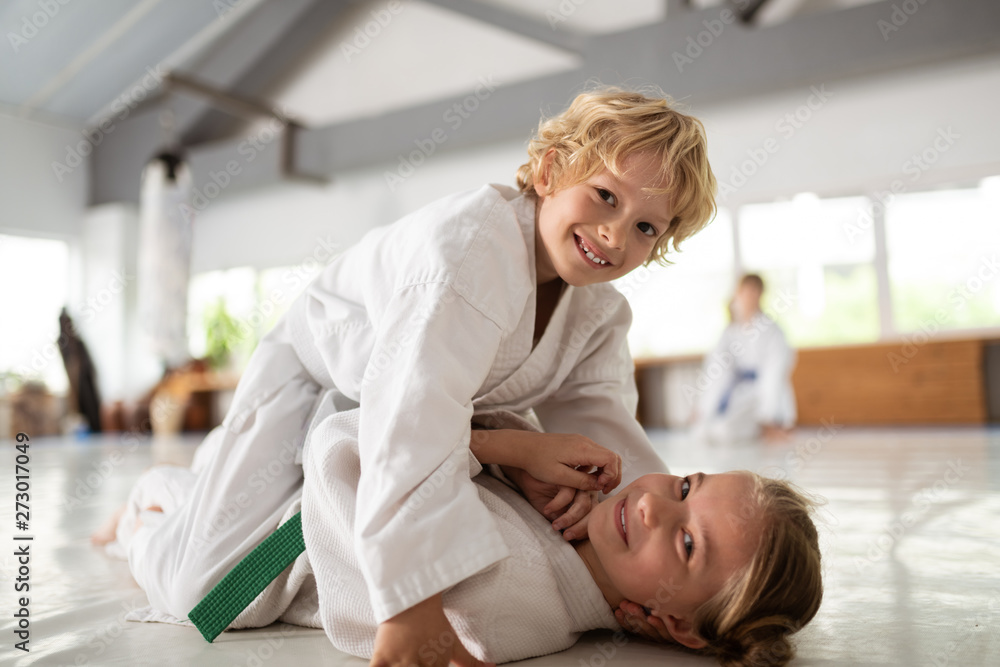 Brother and sister feeling joyful doing aikido together Brother and sister feeling joyful doing aikido together