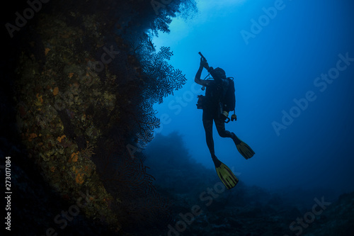 Obraz na plátně Ocean and scuba diving