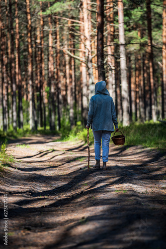 Wallpaper Mural young woman looking for berries and mushrooms in forest Torontodigital.ca