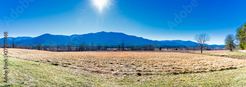 Panorama of Field and Mountains at Midday