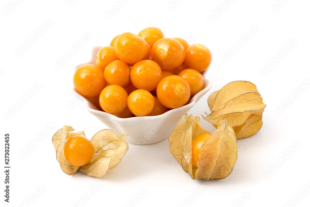 Physalis Physalis