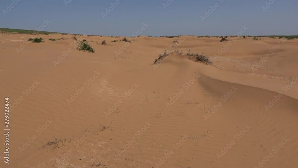 Kalmykia. Steppe. Reserve Kalmykia. Steppe. Reserve
