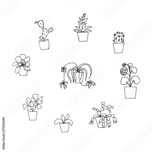 Plant in pot monochrome icon set oxalis, chlorophytum, orchid, pelargonium, schlumbergera, haworthia, cactus design element stock vector illustration for web, for print, for packing design