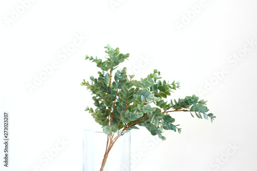 Eucalyptus leaves in small round glass vase on white shelf against neutral wall background.