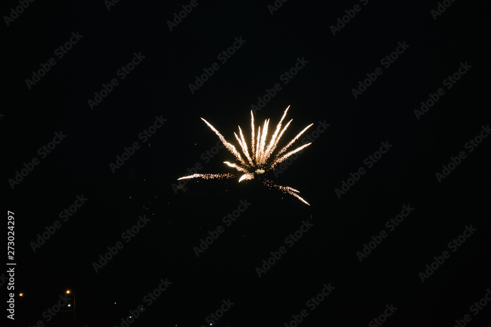 Obraz premium Fireworks in the night sky. Multicolored fireworks at night