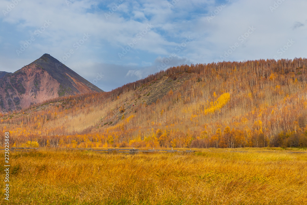 View of the mountain, forest in autumn , Kamchatka, Russia. View of the mountain, forest in autumn , Kamchatka, Russia.
