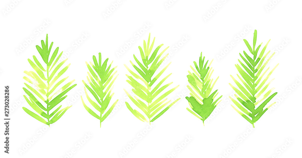 Obraz premium Hand painted watercolour plants for creative design of posters, cards, invitations.