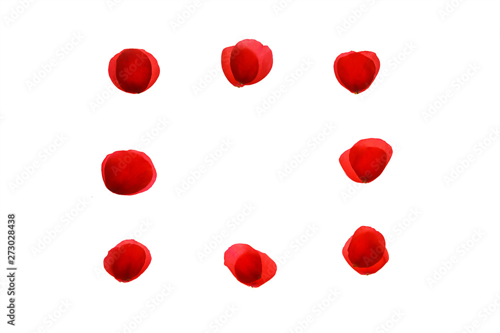 Red coral pink rose petals pattern on white background, isolated. Flat lay, top view, copy space. Valentine's day, party, wedding, holiday, romance beauty concept. Red coral pink rose petals pattern on white background, isolated. Flat lay, top view, copy space. Valentine's day, party, wedding, holiday, romance beauty concept.