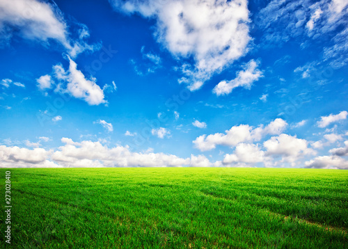 Beatiful green field and blue sky with lots of clouds
