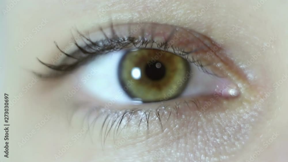 Green-brown eye of a beautiful young girl close-up. Blinking and constriction of the pupil. Macro shooting Green-brown eye of a beautiful young girl close-up. Blinking and constriction of the pupil. Macro shooting