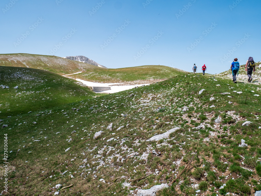 Hikers walk on the mountains of Roccaraso in summer, (plateau) Piano Aremogna and Pizzalto, Monte Greco, Monti Marsicani highest group of Apennines. L'Aquila, Abruzzo, Italy