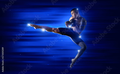 Wallpaper Mural MMA male fighter kick Torontodigital.ca