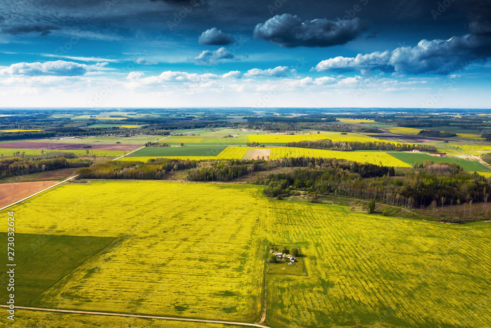 Fototapeta premium Agricultural fields in spring time.