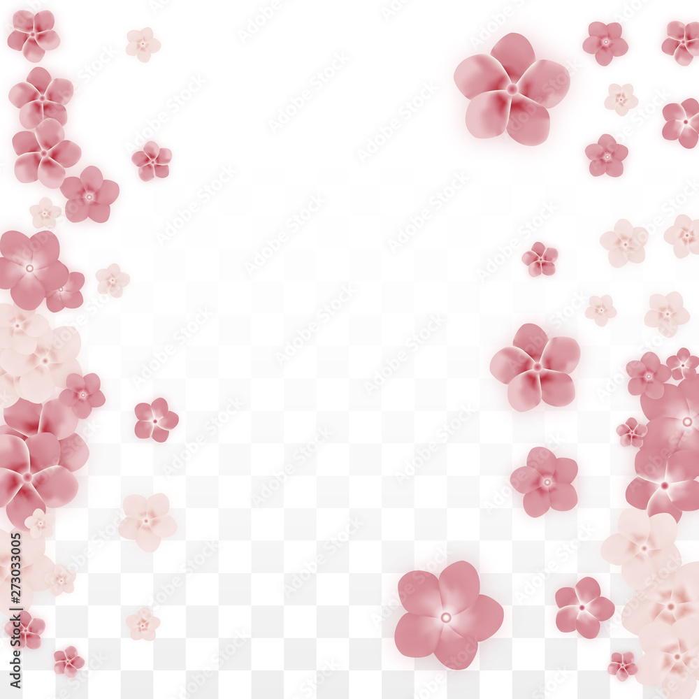 Vector Realistic Pink Flowers Falling on Transparent Background.  Spring Romantic Flowers Illustration. Flying Petals. Sakura Spa Design. Blossom Confetti. Design Elements for Wedding Decoration.