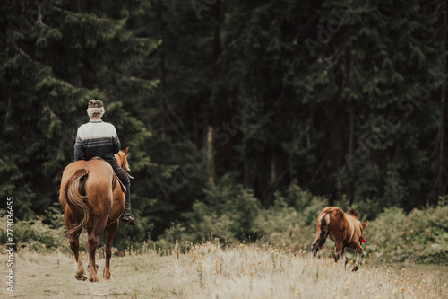 Cowboy riding horse in forest.